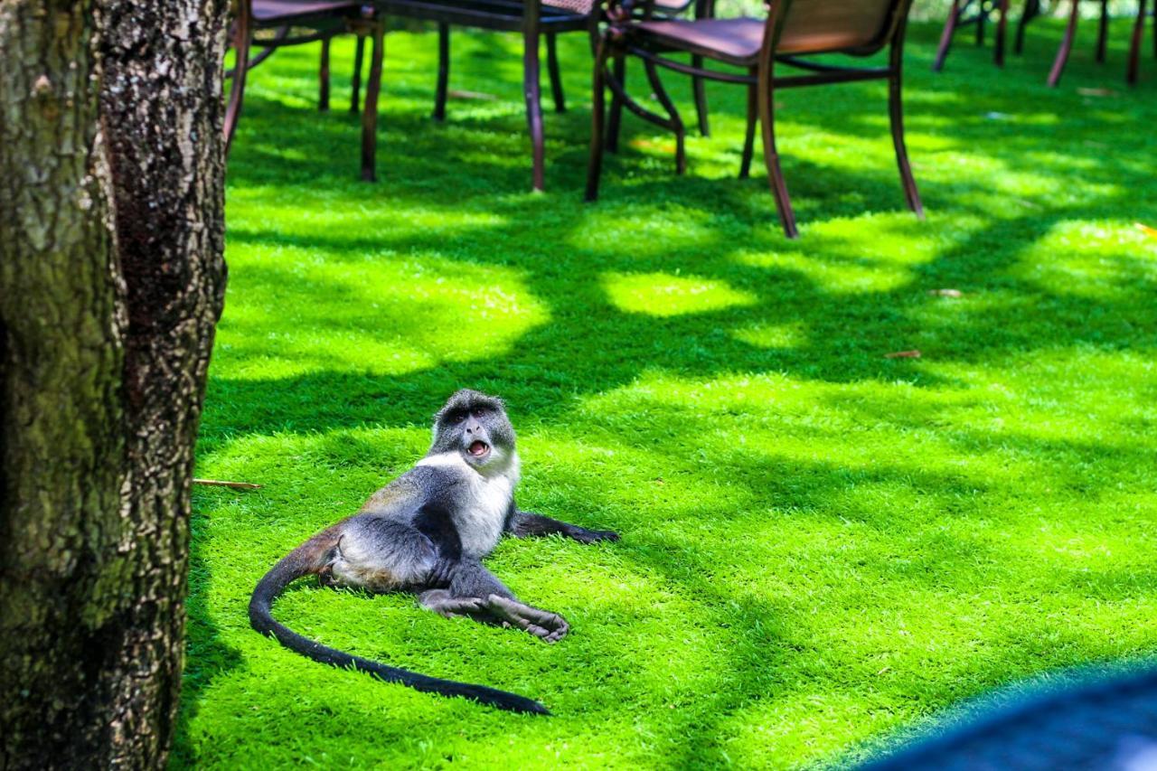 West Wood Hotel Nairobi Buitenkant foto